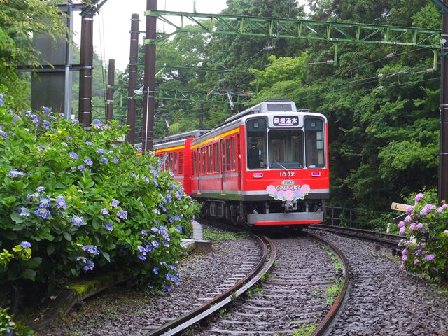 ���������d��_�啽�䉷��