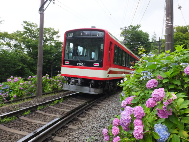 ���������d��_�啽�䉷��