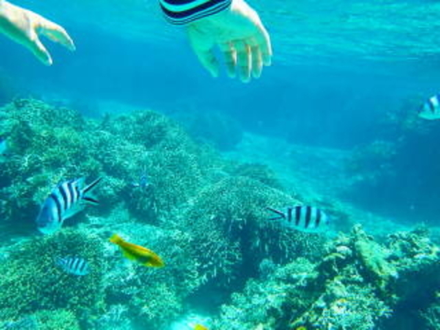 �{�[�g�V���m�P�[��_tome cruise