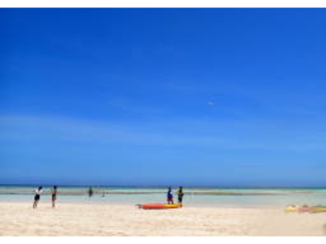 �S�����l_tome cruise