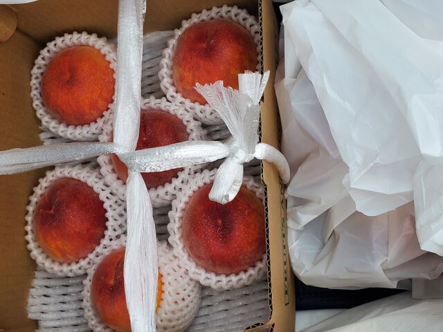 �����ɋ߂����킢�ł����B_���Ԃ�K�[�f��