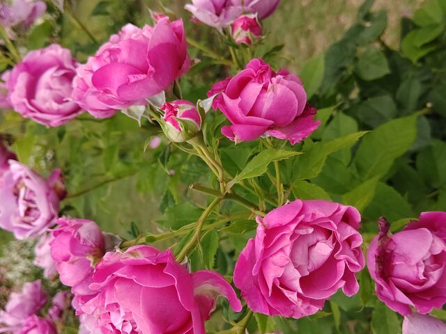 ���܂���ɎB�e�o���Ȃ��������ǁA���ꂢ�ł����B_�����b�c���[�Y�J���g���[