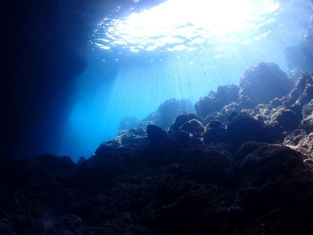 �V���m�[�P�����O�ƈႤ�p�x�ŃP�[�u�̌���������_����}�����T�[�r�X�u���[�P�[�u