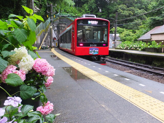 ���m��w_�����o�R�d�ԉ����̃A�W�T�C