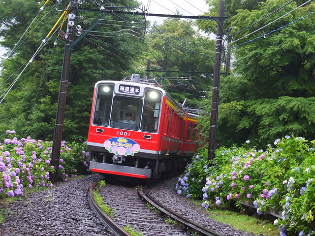 �啽��_�����o�R�d�ԉ����̃A�W�T�C