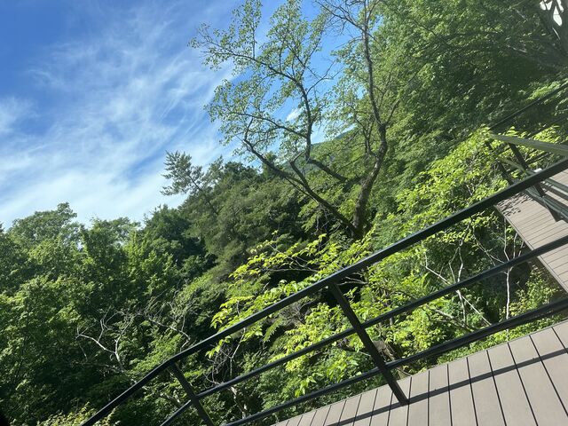 �����̉��̃��X�g�����܂ł̑����猩����i�F�ł��B_�H�ۃO�����h�z�e��