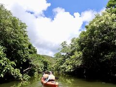 Lagoon̐\Rrgbvւ̓eʐ^1