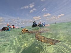 ڂ񂳂nico {Óւ̓eʐ^1