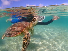 ȂȂ̋{blue܂ق΂ւ̓eʐ^1