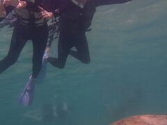 }[Tnico {Óւ̓eʐ^1