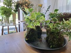 Ђ悱Florilegeւ̓eʐ^1