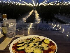 �u���x�����BNR�t�@�[���ւ̓��e�ʐ^1