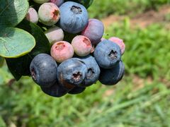 hidepô˔_ւ̓eʐ^2