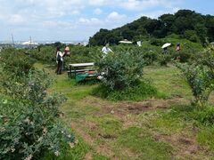 hidepô˔_ւ̓eʐ^3