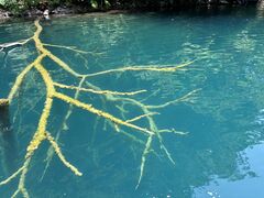 킽񂳂̏\ac΃p[X|bgN[Yւ̓eʐ^1