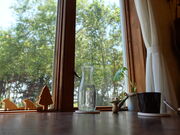 yosshy̗PizzaƂh F̓eʐ^2