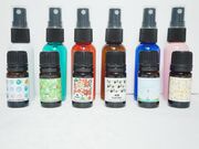 sum̃A}n[uJtF COO̓eʐ^1