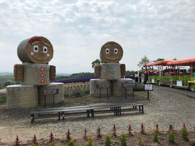 ���[�������ƃ��[���N_�l�G�ʂ̋u