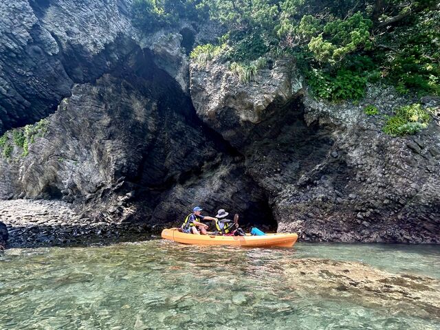 �󐣂��Y��ȋ������܂��B���̓��A�̂悤�Ȍ��͔������܂��I_���ɓ��E�c�q�J���b�N�Z���^�[SeaFan�`�V�[�t�@���`