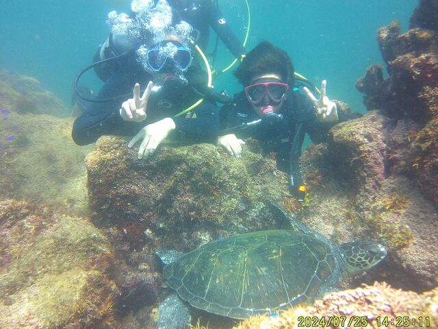 �E�~�K��_SUNla�ɓ��_�C�r���O(�T�����C�Y)