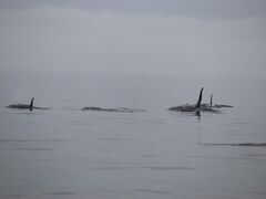 肳}}̊ВmAւ̓eʐ^2