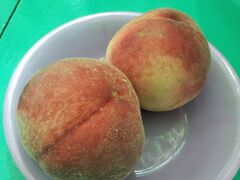 񂳂̌_O[vnEXւ̓eʐ^1