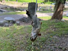 _C`̔m◬Z^[ւ̓eʐ^1