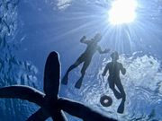 ЂƂ݂񂳂Oceans TreasureiI[VYgW[j̓eʐ^2