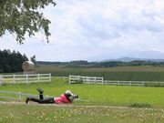 Ƃ񂳂̐Vh̋uW]̓eʐ^6