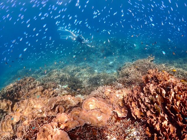 �f�o�܂݂�_Kahoo_ishigaki