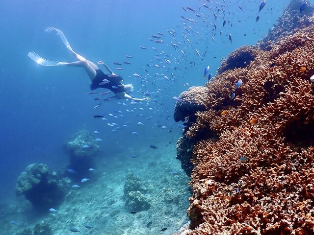 �������ƃ_���X_Kahoo_ishigaki