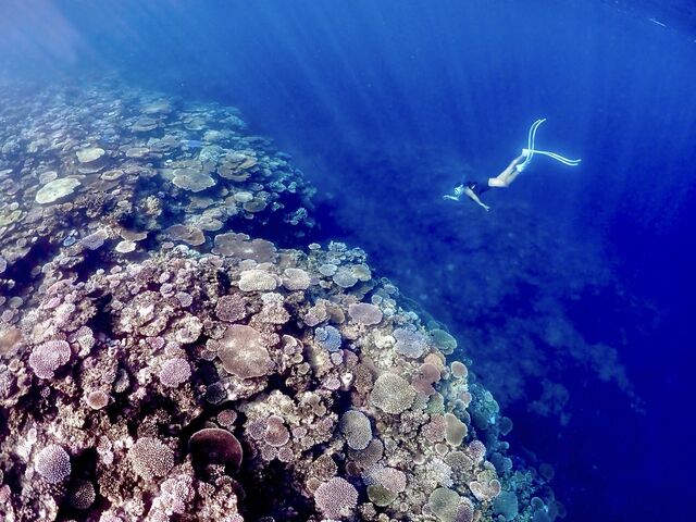 �e�[�u���X��_Kahoo_ishigaki