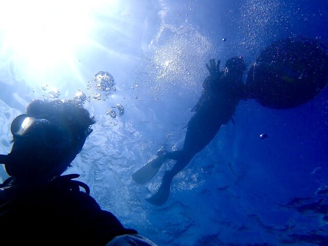 �_�C�r���O�ƃV���m�[�P��_����}�����T�[�r�X�u���[�P�[�u