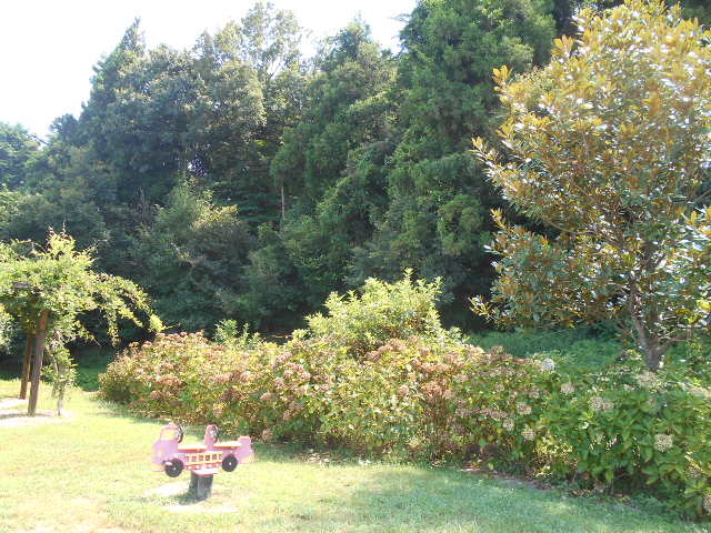 gV[̌̐XiCÎsj̓eʐ^1