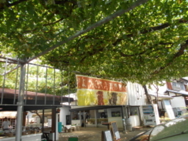 ����_���H���ƂԂǂ����@�Î����i�R�W���G���j