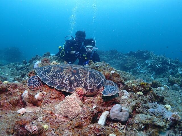 �ߋ����ł̋L�O�B�e_DIVING SHOP RYAAAN