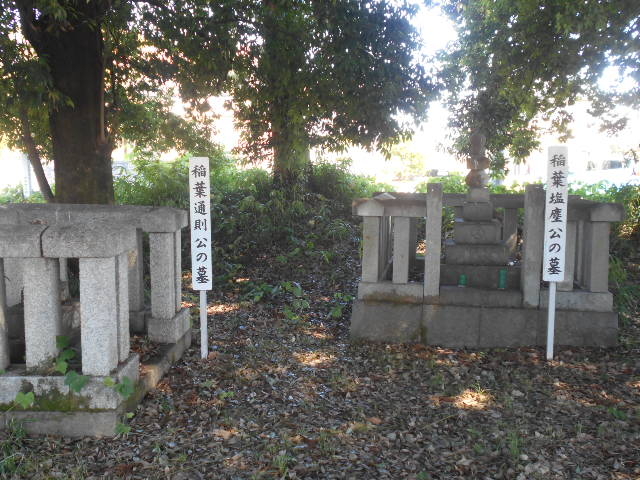 gV[̈tꑰErcP̓̕eʐ^1