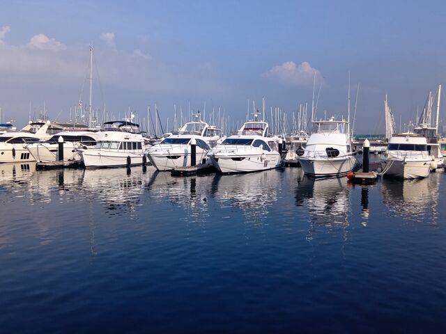 �n�[�o�[�ɖʂ����A�E�g���b�g_�O��A�E�g���b�g�p�[�N���l�x�C�T�C�h