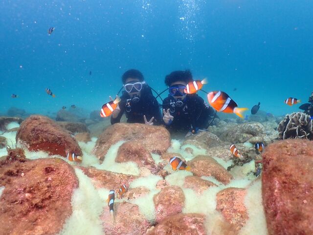 ���܂݂̂����������ł��I_�����_�C�r���O�T�[�r�X�@Smiley Dive