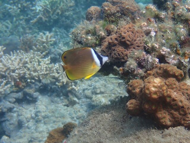 �`���E�`���E�I���悭����܂�_������낤de����