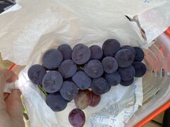 悤̂ނ̂ӂ[ނւ̓eʐ^1