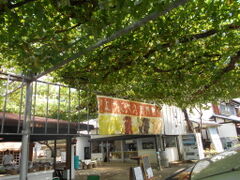 HƂԂǂ@ÎiRWGj̎ʐ^2