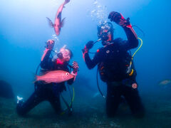 �䂤���낳��̃}�����n�E�X�@���C�A���n�ւ̓��e�ʐ^1