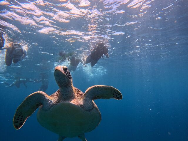 �E�~�K������_Tomorl