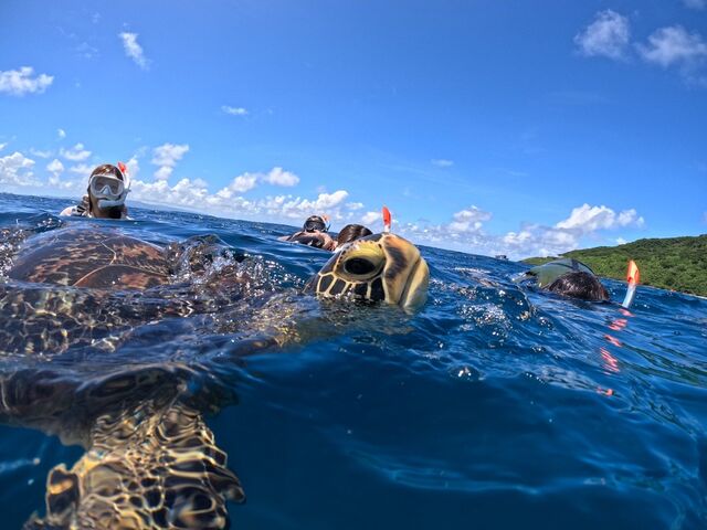 �ċz�����E�~�K������_Tomorl