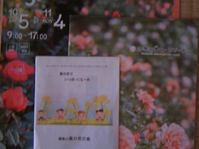 �Ԃ̎�z�z�I_�l�G�̍����[�Y�K�[�f��