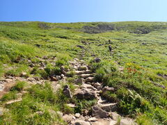 �}�C�a�n�n����̌��R�ւ̓��e�ʐ^1