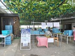 m|łB̊ό@Ôւ̓eʐ^1