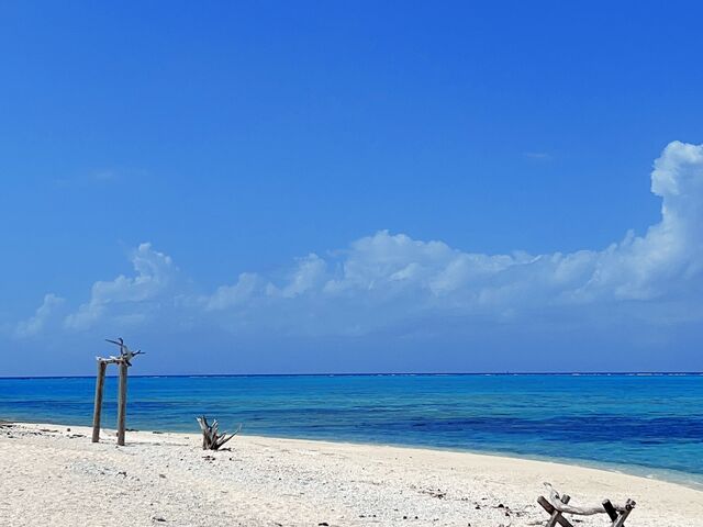 �i�K���k���ō��[�I_������ЂƂ�����