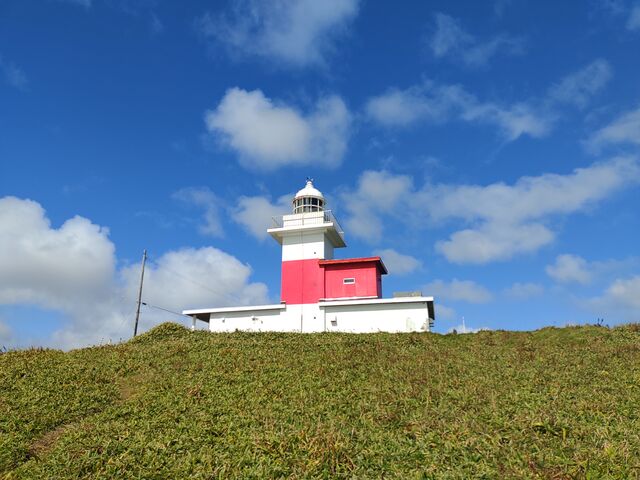 ����悩��U��Ԃ���_���Ζ�